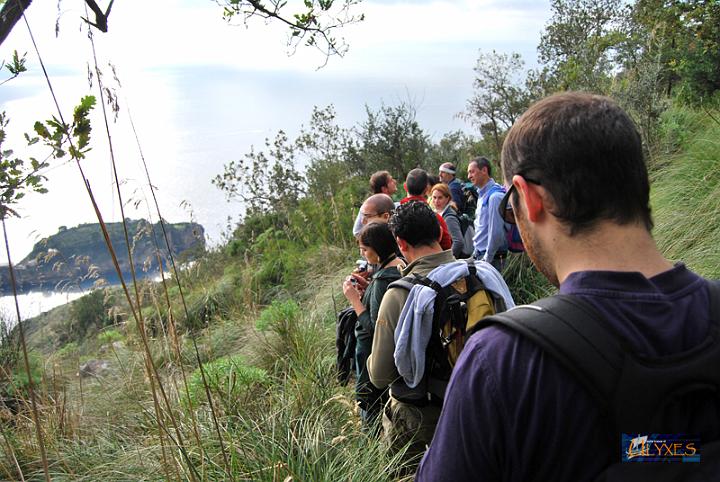 al tepore del sole.JPG